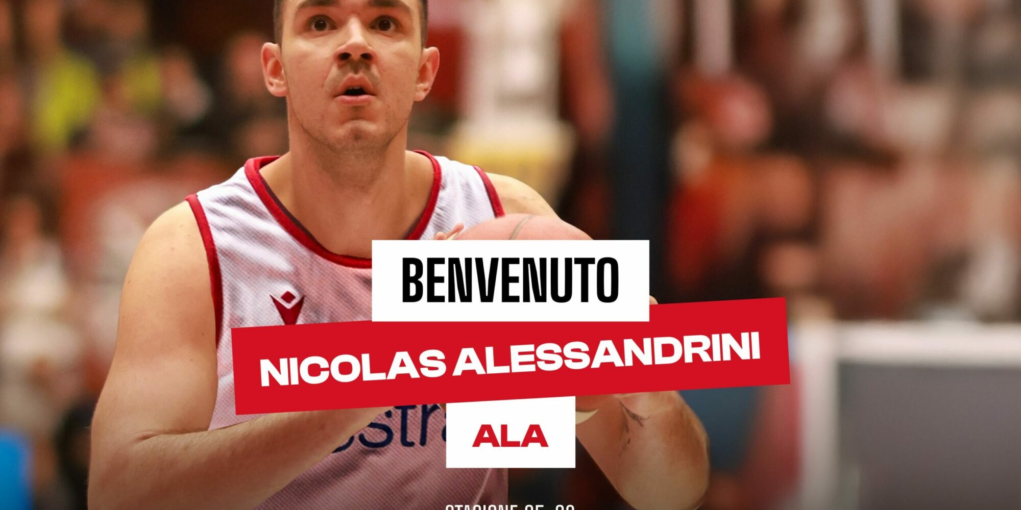nicolas alessandrini arriva al pistoia basket